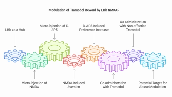  lateral habenula NMDA receptors in tramadol-induced conditioning {faces}